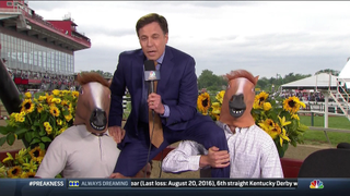 Quit Horsin' Around, Bob